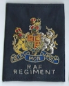 RAF  Regiment WO Rank Slides